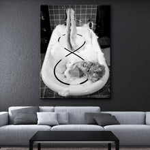 Load image into Gallery viewer, FALSE