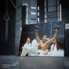 Load image into Gallery viewer, FALSE