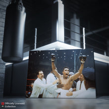 Load image into Gallery viewer, FALSE