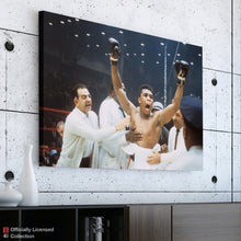 Load image into Gallery viewer, FALSE